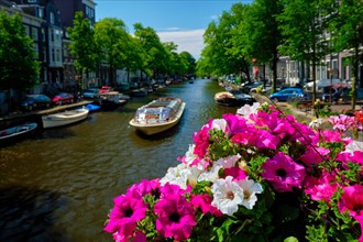 Amsterdam canal with passing boats view over flowers on the bridge Focus on flowers Amsterdam