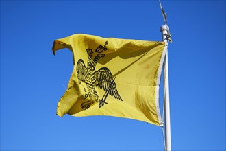 Orthodox flag