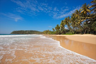 Tropical paradise idyllic beach Sri Lanka