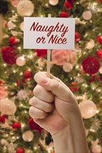 Hand holding naughty of nice card in front of decorated christmas tree