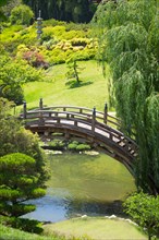 Beautiful Japanese garden with pond and bridge