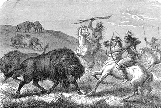 Indians hunting bison with bow and arrow