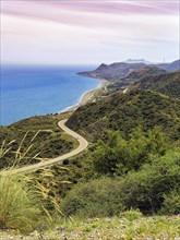 View from above of winding coastal road in hilly landscape. Cabo de Gata Nijar nature Park