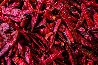 Dried dry red spicy chili peppers pile at asian market close up texture background Sardar Market