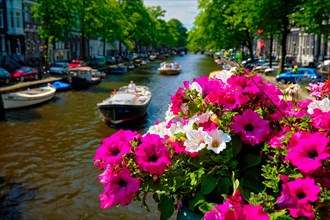 Amsterdam canal with passing boats view over flowers on the bridge Focus on flowers Amsterdam