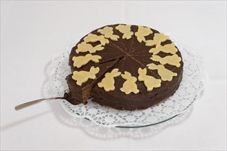 Homemade chocolate cake with cake server