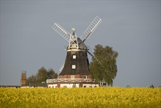 Hollaender Windmill