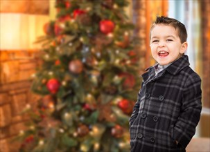 Handsome mixed-race caucasian and hispanic boy in front of christmas tree