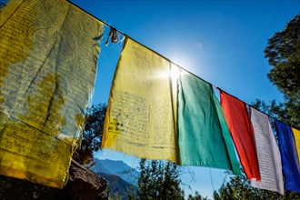 Prayer flags of Tibetan Buddhism with Buddhist mantra on it in Dharamshala monastery temple. There is the residence of Tibetan Buddhism spiritual leader Dalai Lama. Dharamsala