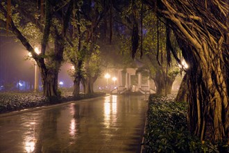 Guangzhou People's Park with mist fog at night. Guangzhou