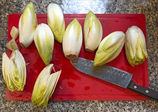 Fresh chicory with knife on a cutting board