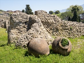 Wall remains and amphora