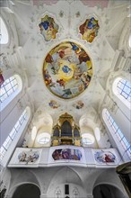 Organ embellishments and ceiling frescoes