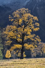 Grosser Ahornboden in autumn