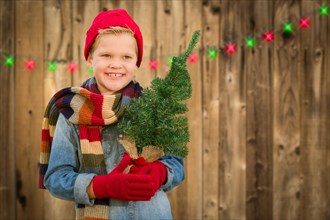 Happy young boy wearing scarf and mittens holding christmas tree on A wood fence background