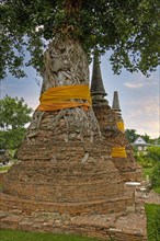 Weathered pagodas in the early morning at Wat Mahathat temple