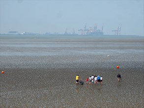 Set off on a guided mudflat walk on the coast of Butjadingen in the Lower Saxony Wadden Sea National Park