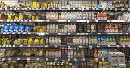 Shelves with different types of milk in tetra packs in an organic supermarket