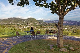 Woman on outdoor seat under tree with view of Valle de Vinales