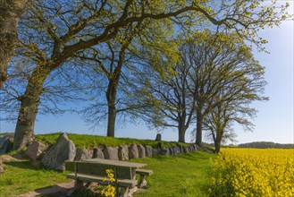 Megalithic grave Karlsminde