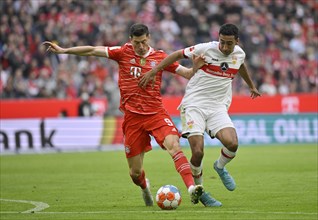 Robert Lewandowski FC Bayern Munich FCB vs Tiago Tomas VfB Stuttgart