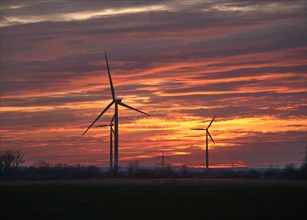 Wind turbines at sunset in the Hamburg Vier- und Marschlanden district of Ochsenwerder. Hamburg