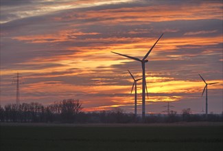 Wind turbines and power line in the evening. Wind turbines in the Hamburg Vier- und Marschlanden