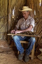 Tobacco farmer in straw hat