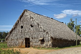 Barn for drying tobacco leaves