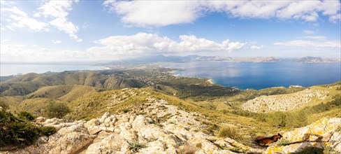 View from Talaia d'Alcudia