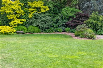 Beautiful green garden setting with wood bench