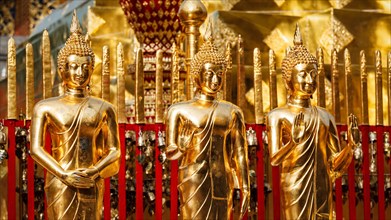 Panoramic image Gold Buddha statues in Wat Phra That Doi Suthep