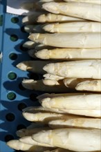 Frischer Spargel auf einem Marktstand