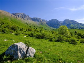 Alpine meadows below Mount Krn