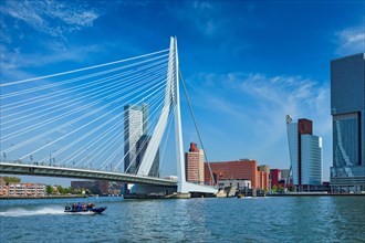 Rotterdam cityscape with cruise liner and Erasmus bridge. Netherlands