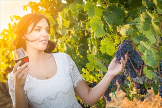 Beautiful young adult woman enjoying glass of wine tasting walking in the vineyard