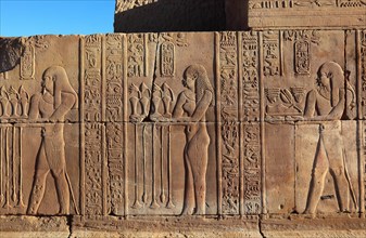 Reliefs and engravings on the walls in the Kom Ombo Temple on the Nile