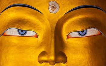 Eyes of Maitreya Buddha face close up. Thiksey Gompa. Ladakh