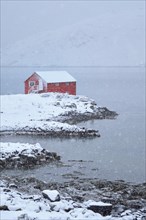 Traditional red rorbu house on fjord shore with heavy snow in winter. Lofoten islands