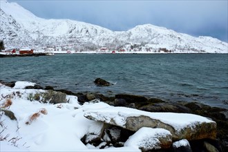 Norwegian fjord with traditional red rorbu houses on fjord shore in snow in winter. Lofoten islands