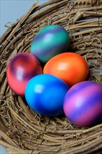 Gefaerbte Eier in Nestschale