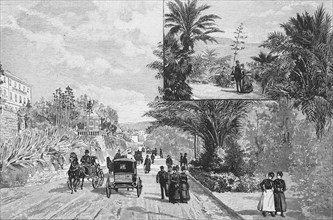 The German Crown Prince's Family in the Promenades of San Remo