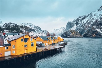Panorama of Nusfjord authentic fishing village with yellow rorbu houses in Norwegian fjord in winter. Lofoten islands