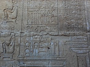 The medical relief in the Kom Ombo temple on the Nile