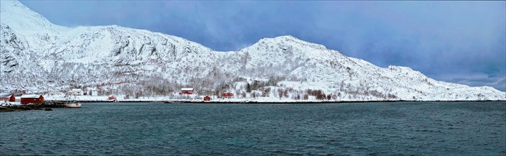 Panorama of Norwegian fjord with traditional red rorbu houses on fjord shore in snow in winter. Lofoten islands