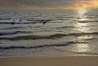 North Sea on the beach of Rantum at sunset