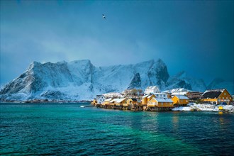 Yellow rorbu houses of Sakrisoy fishing village with snow in winter. Lofoten islands