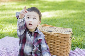 Cute young mixed-race boy sitting in park near picnic basket