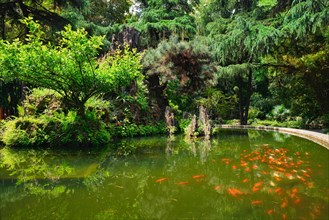 Pond in Wangjiang Pavilion