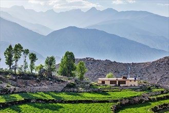 Nako village in Himalayas